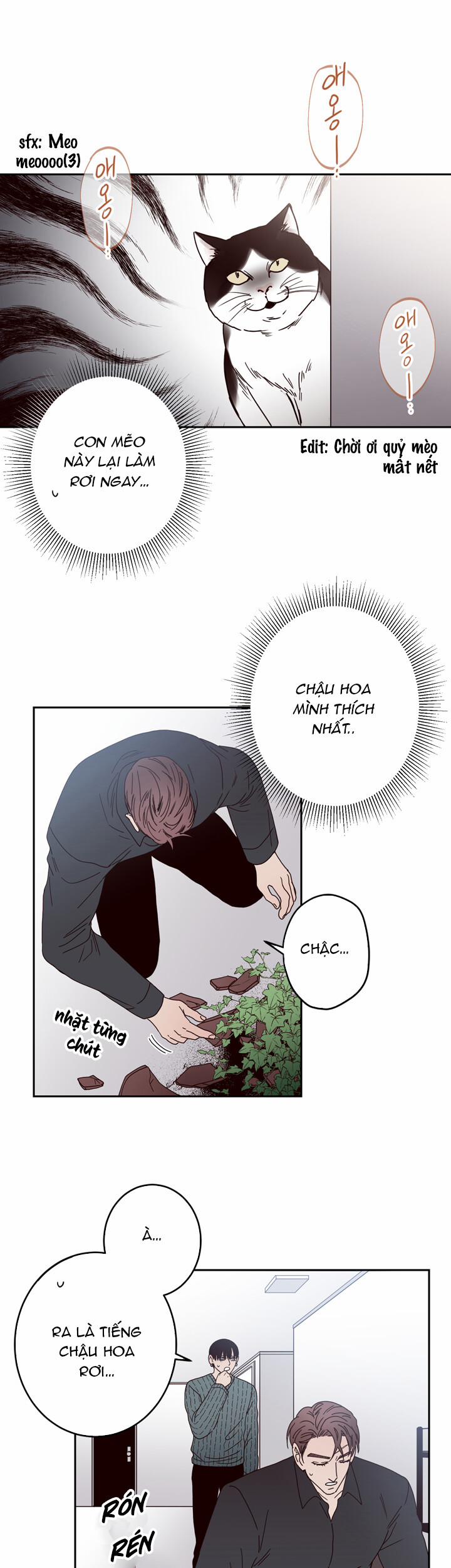 Đường Giao Nhau 9 trang 11