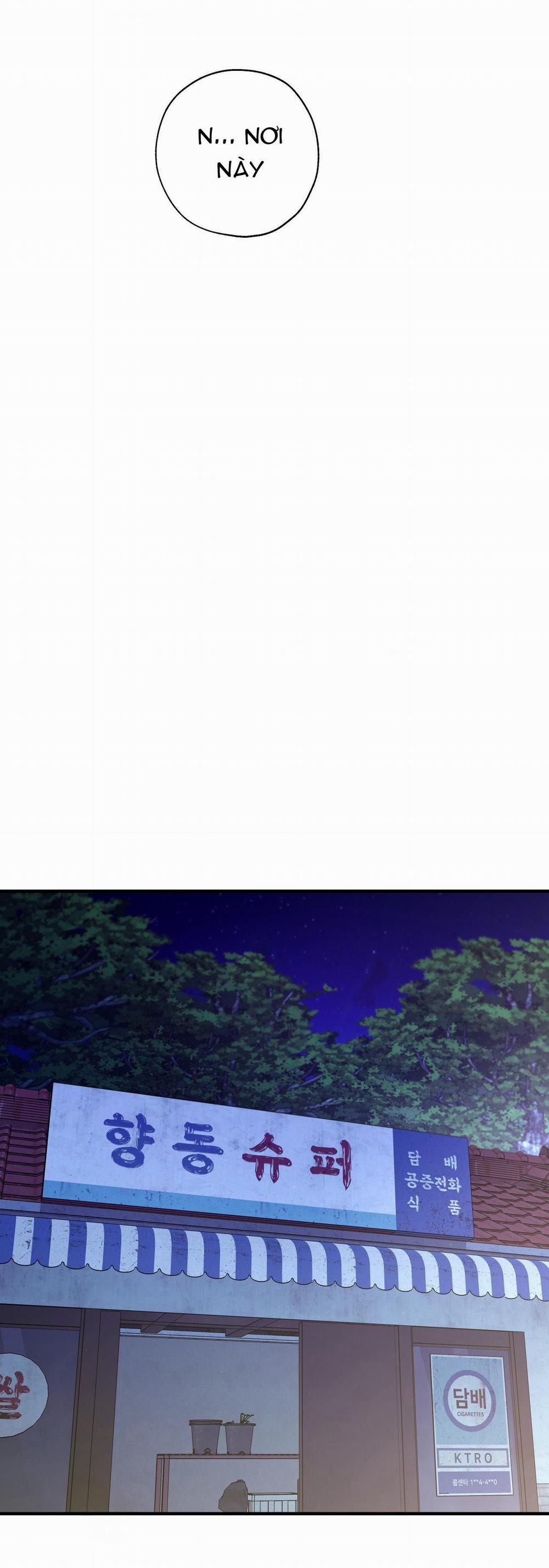 Dương Khí 17 trang 39