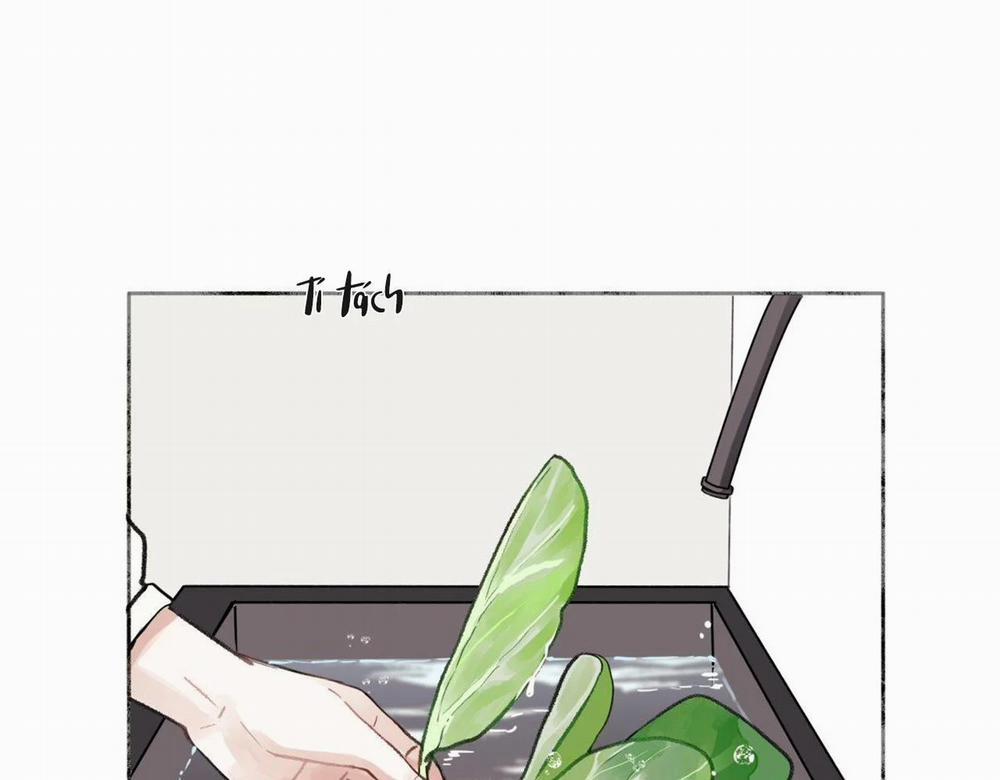 Dương Sinh Tiểu Tuyết 11 trang 1