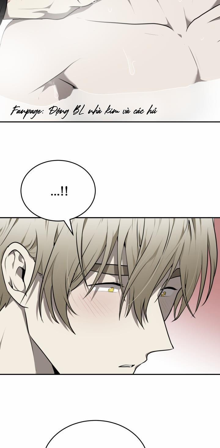 Dưỡng Thú Cưng 10 trang 24