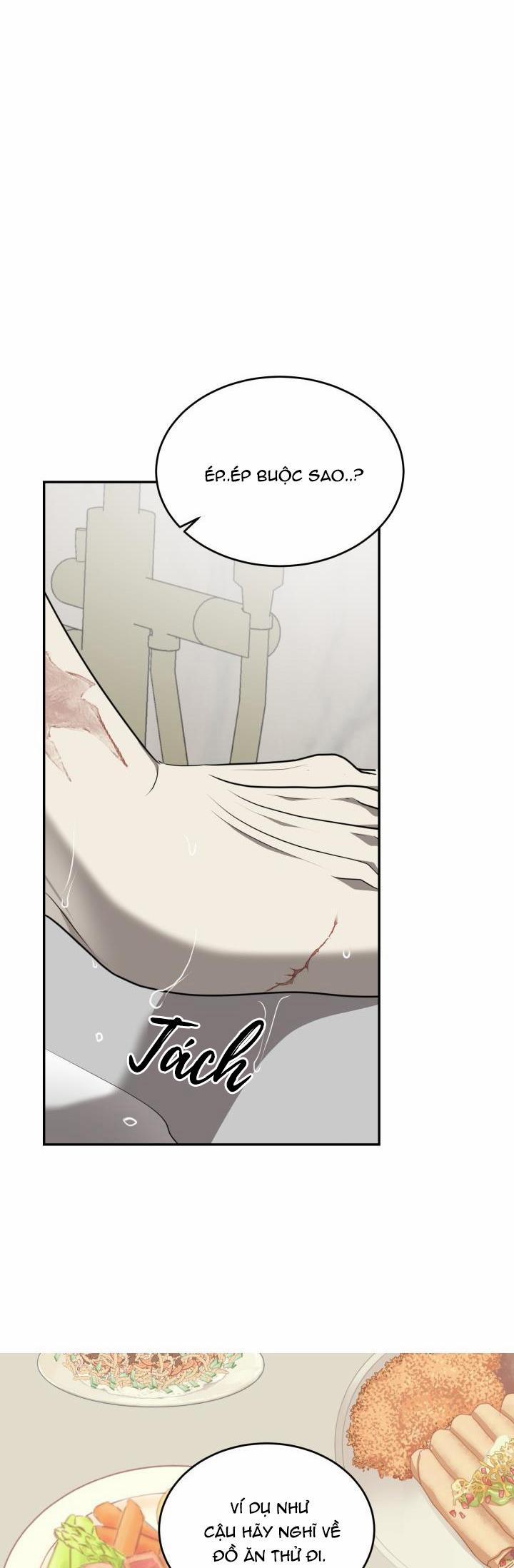 Dưỡng Thú Cưng 10 trang 41