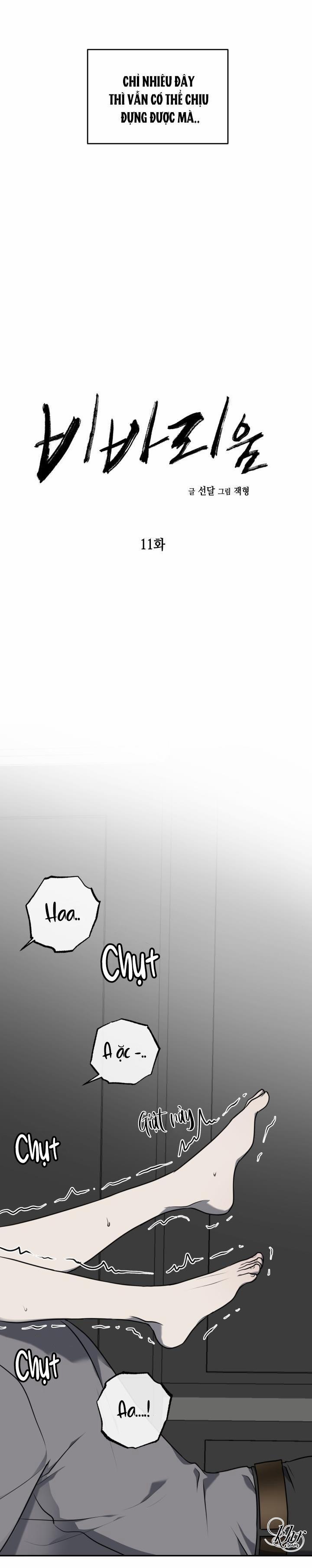 Dưỡng Thú Cưng 11 trang 8