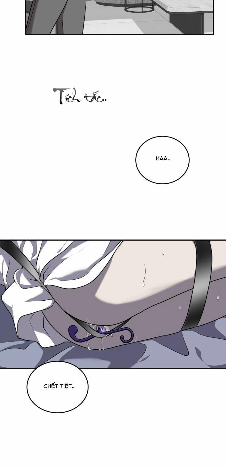 Dưỡng Thú Cưng 14 trang 26