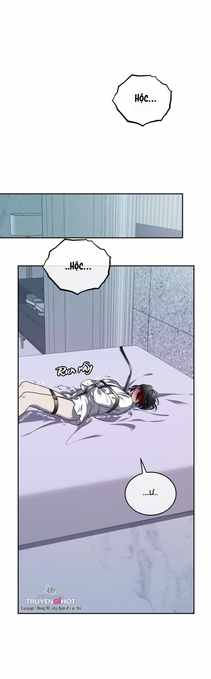 Dưỡng Thú Cưng 14 trang 28