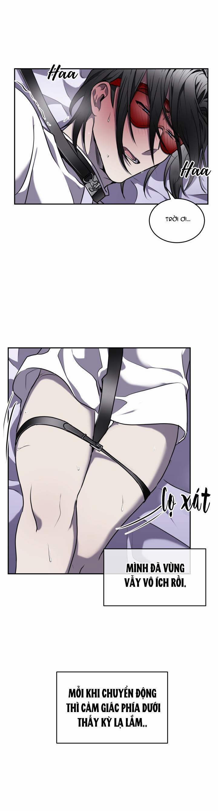 Dưỡng Thú Cưng 14 trang 29