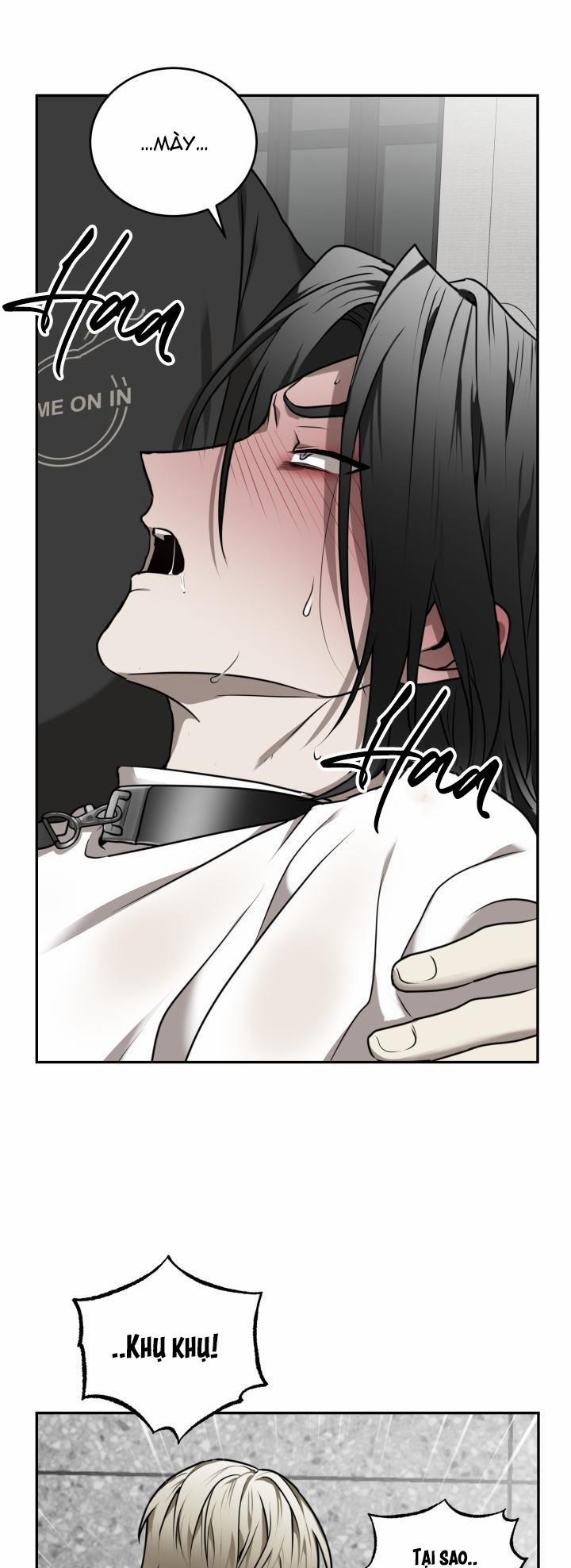 Dưỡng Thú Cưng 15 trang 12