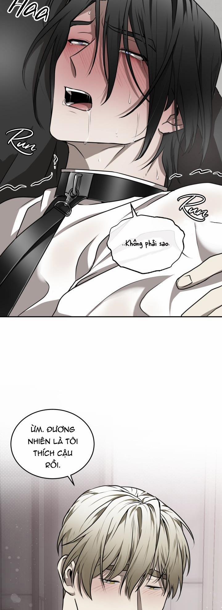 Dưỡng Thú Cưng 15 trang 16