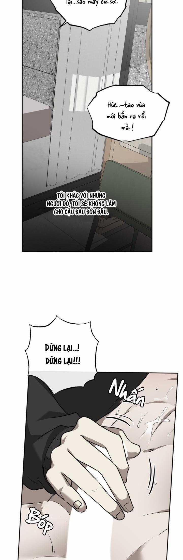 Dưỡng Thú Cưng 15 trang 31