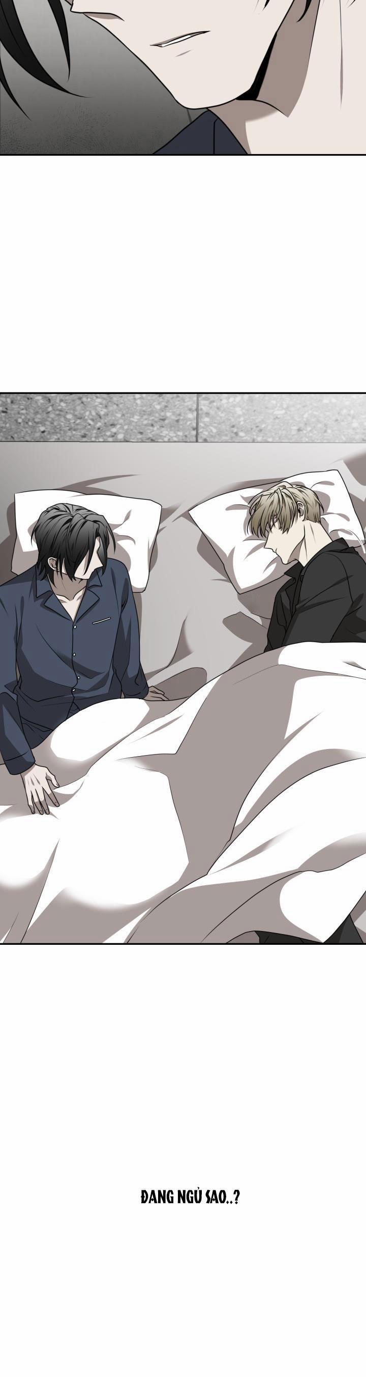 Dưỡng Thú Cưng 16 trang 18