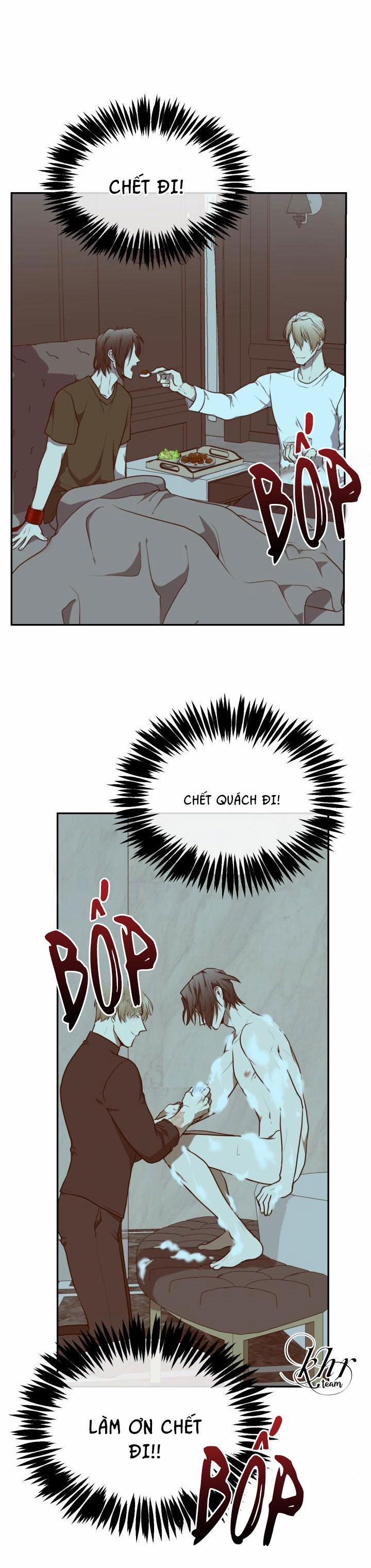 Dưỡng Thú Cưng 16 trang 31