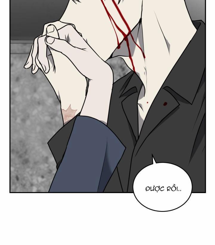 Dưỡng Thú Cưng 16 trang 43