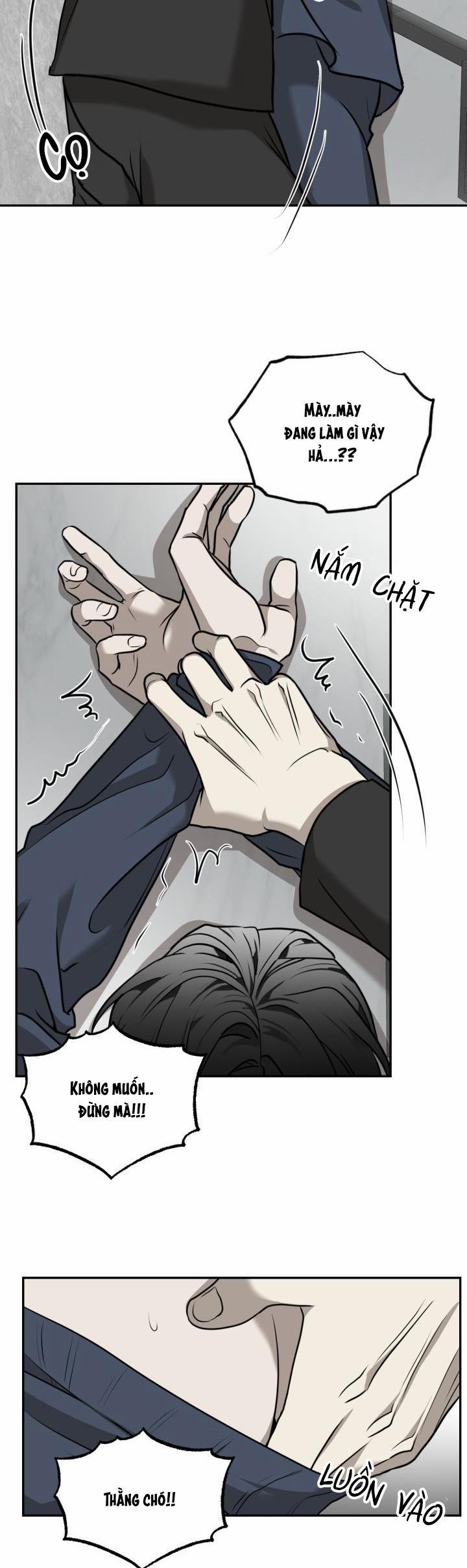 Dưỡng Thú Cưng 17 trang 24