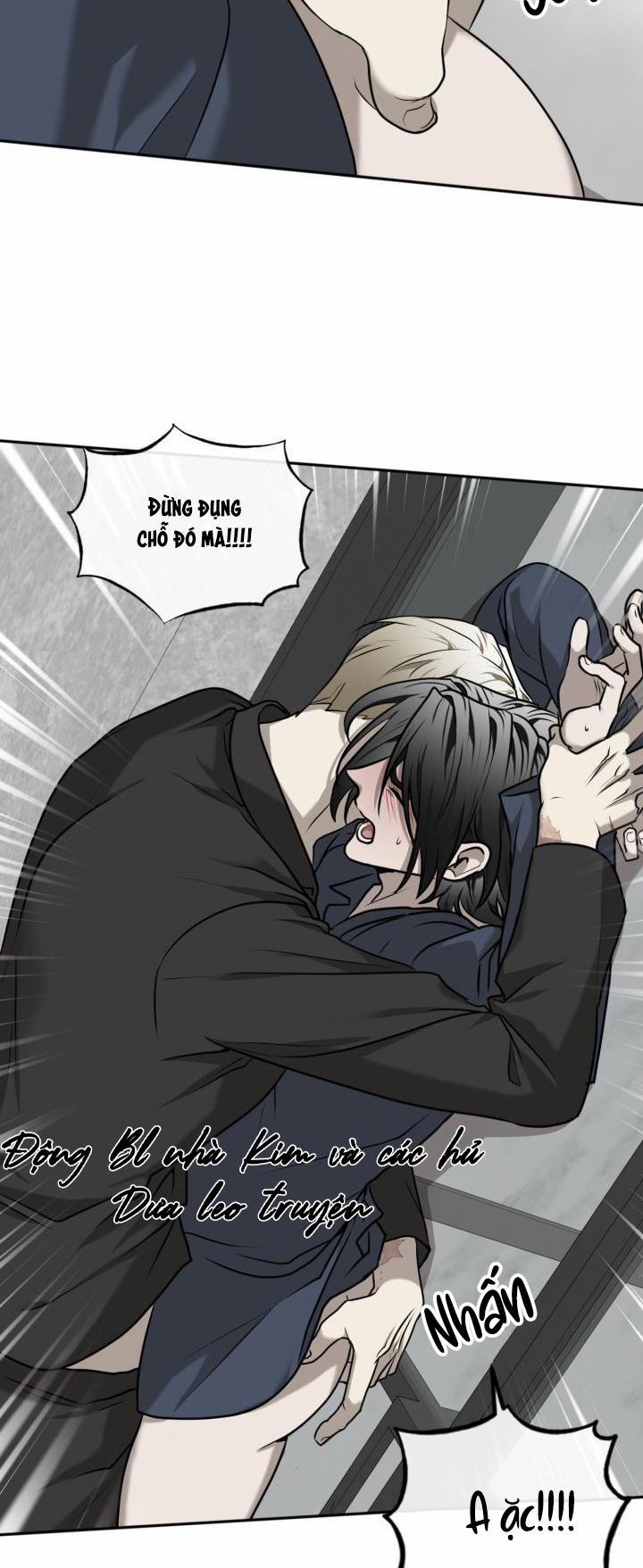 Dưỡng Thú Cưng 17 trang 28