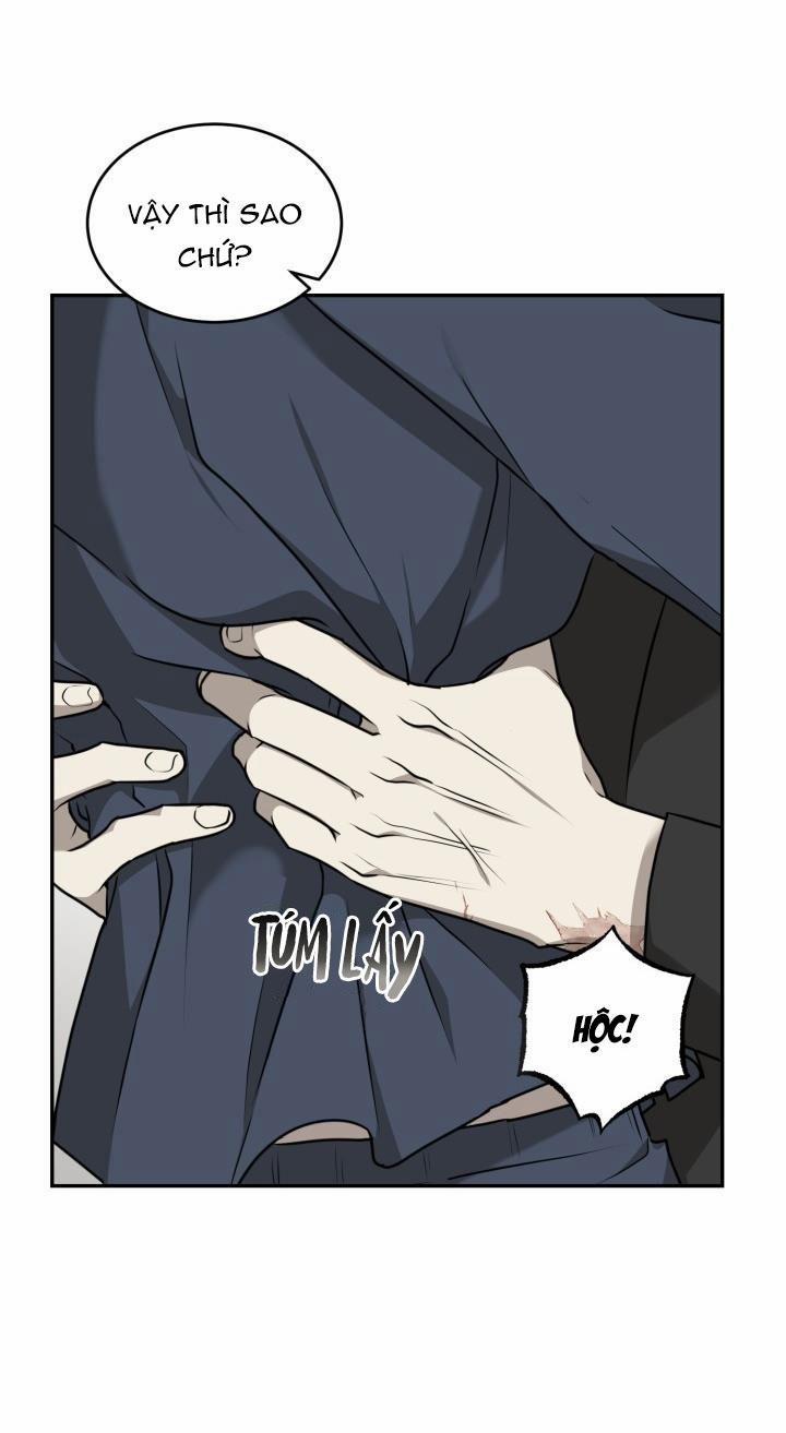 Dưỡng Thú Cưng 17 trang 3