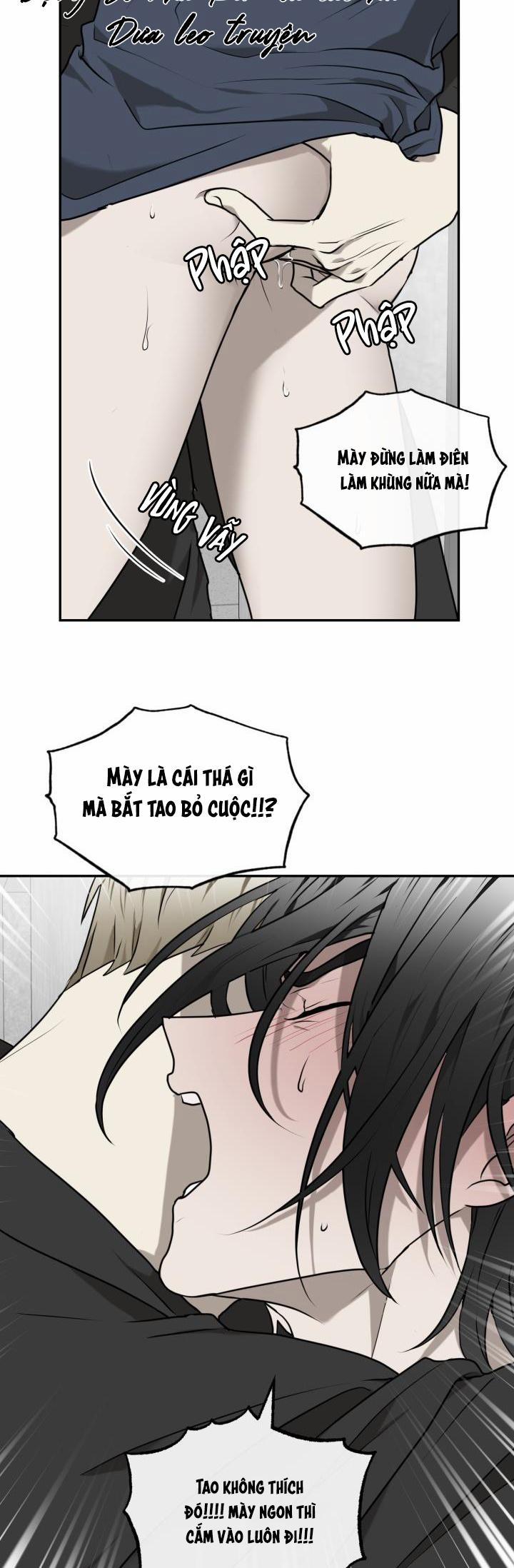 Dưỡng Thú Cưng 17 trang 31