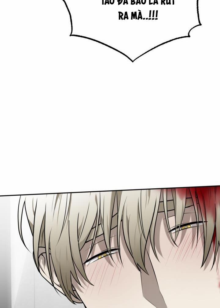 Dưỡng Thú Cưng 17 trang 36