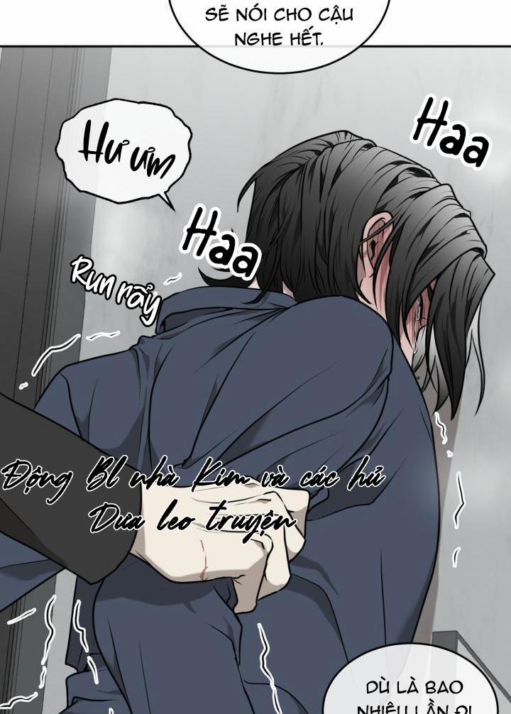 Dưỡng Thú Cưng 17 trang 38