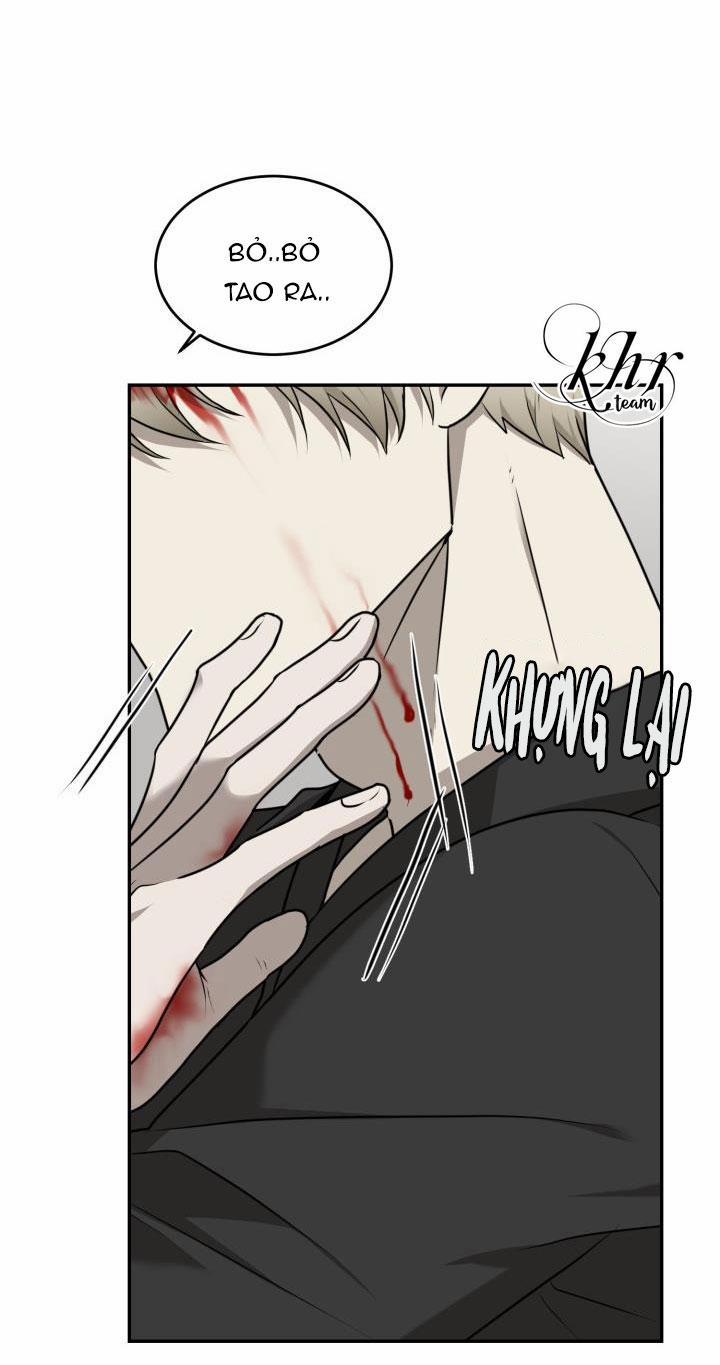 Dưỡng Thú Cưng 17 trang 4