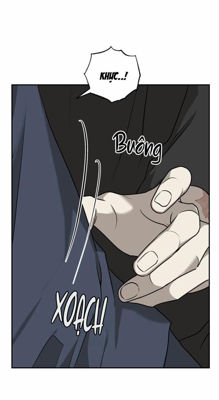 Dưỡng Thú Cưng 17 trang 7