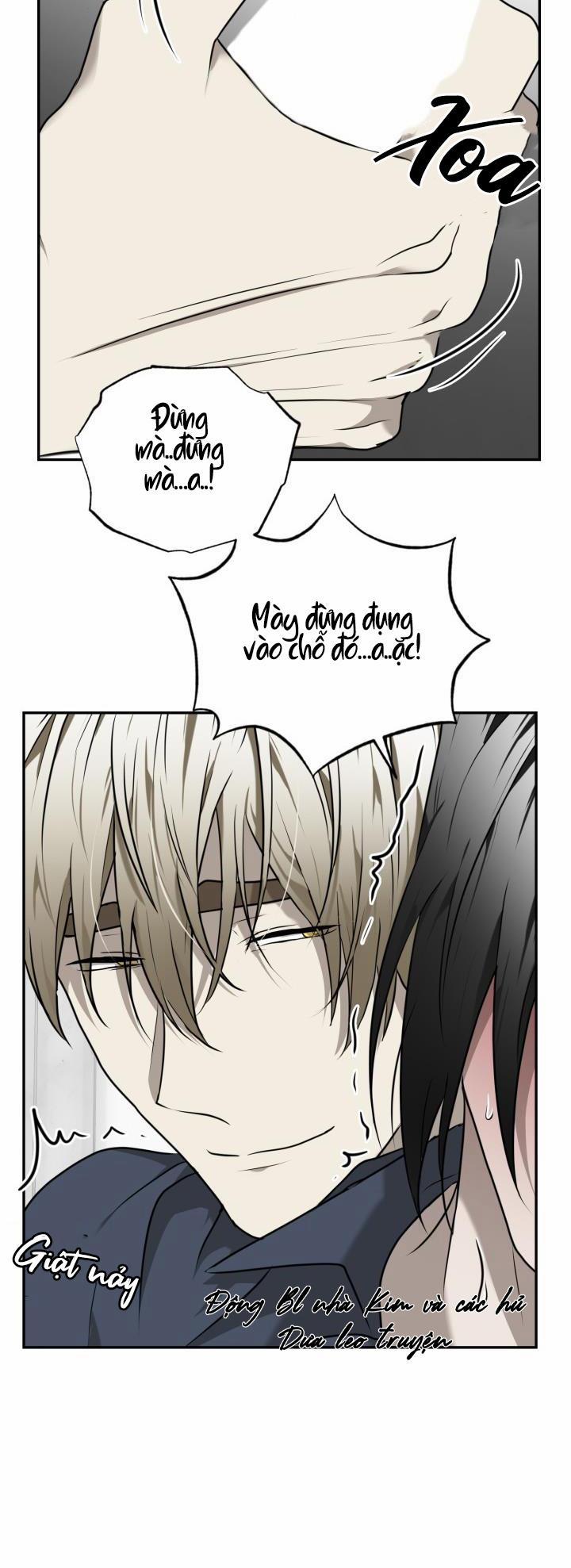 Dưỡng Thú Cưng 18 trang 17