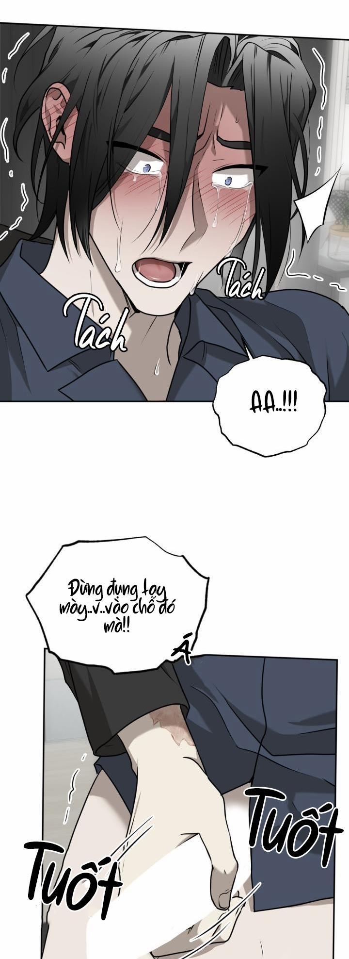 Dưỡng Thú Cưng 18 trang 18