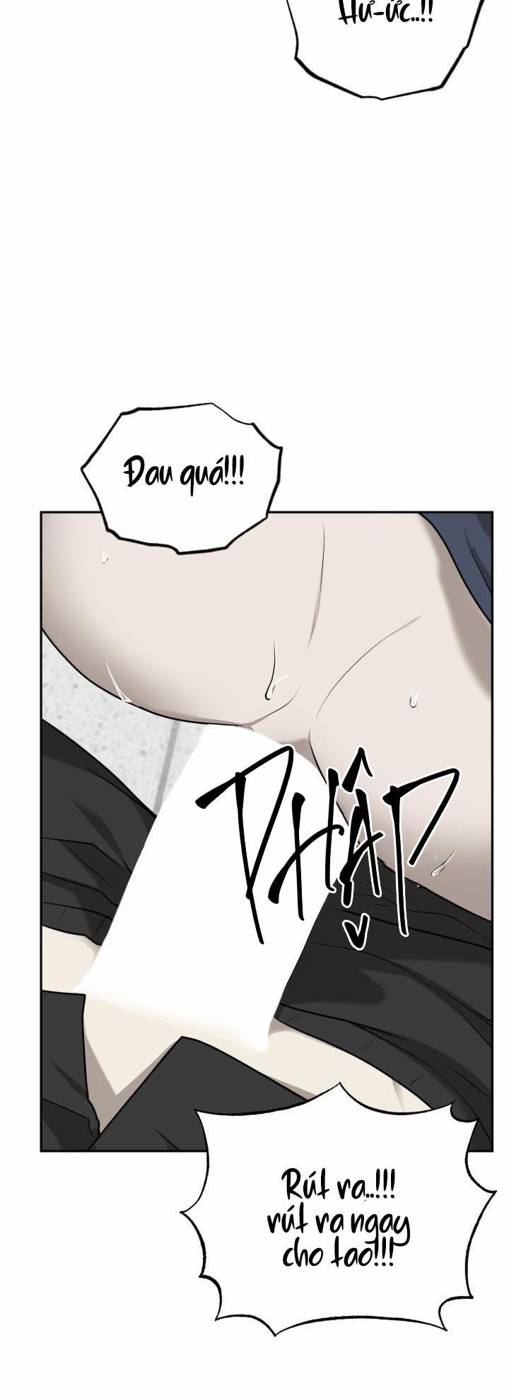 Dưỡng Thú Cưng 18 trang 4