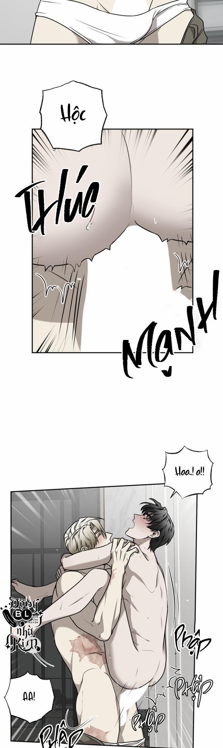 Dưỡng Thú Cưng 21 trang 17