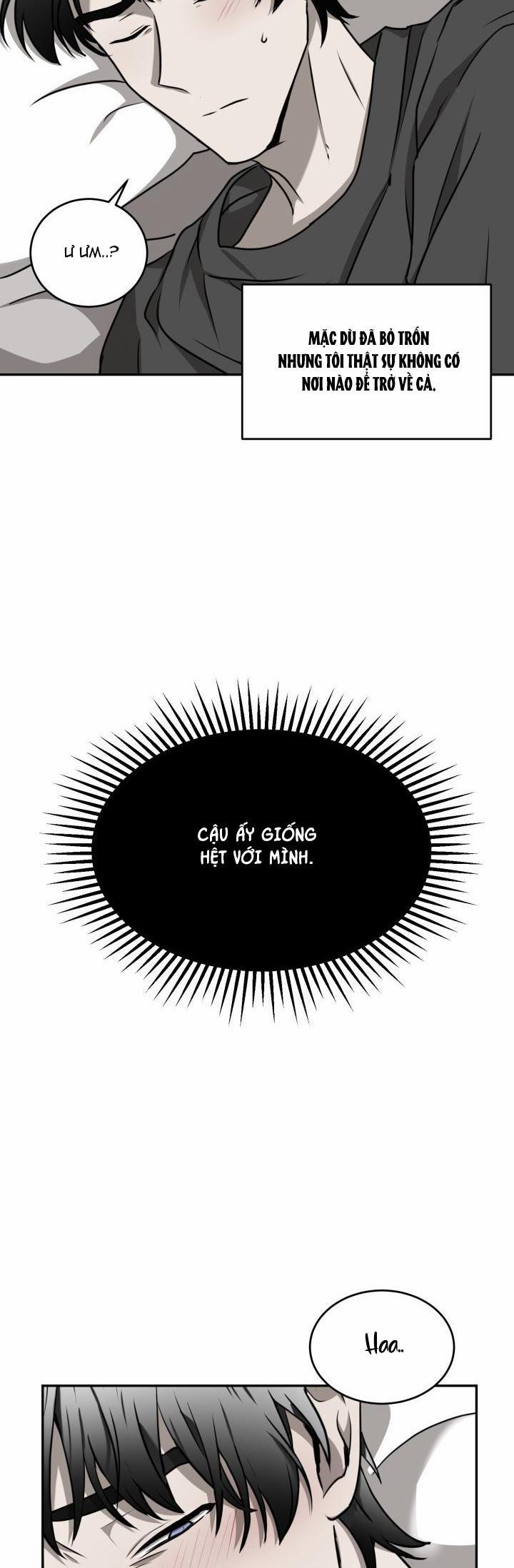 Dưỡng Thú Cưng 23 trang 31