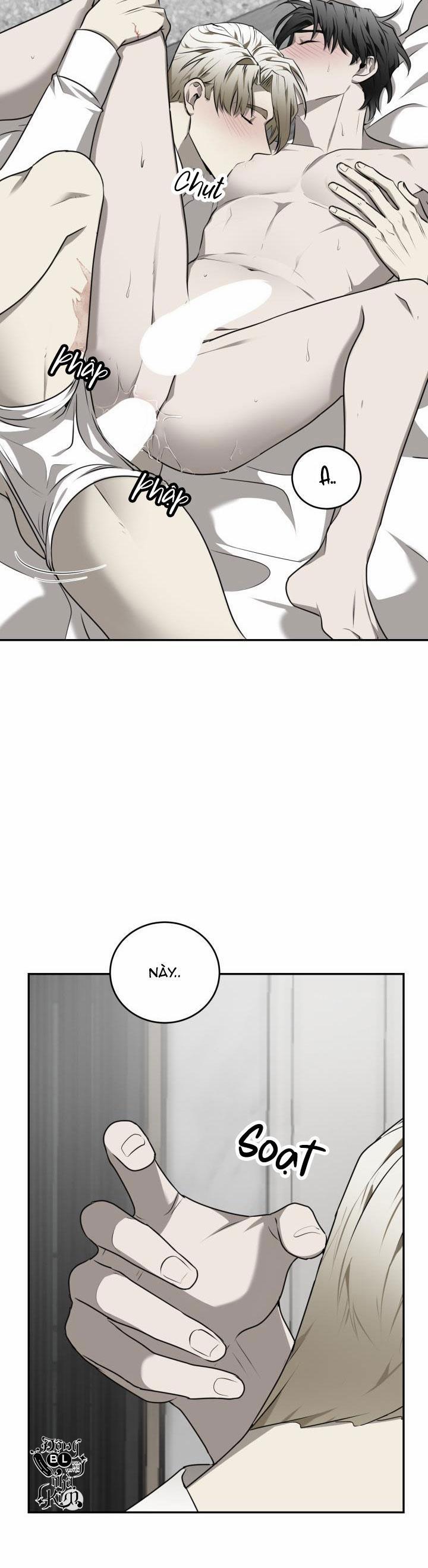 Dưỡng Thú Cưng 25 trang 8