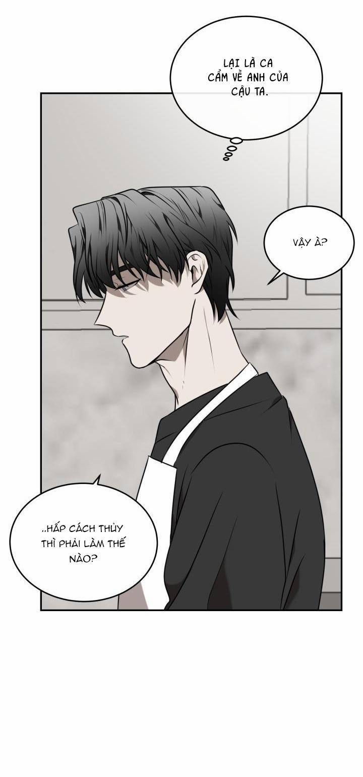 Dưỡng Thú Cưng 26.1 trang 11