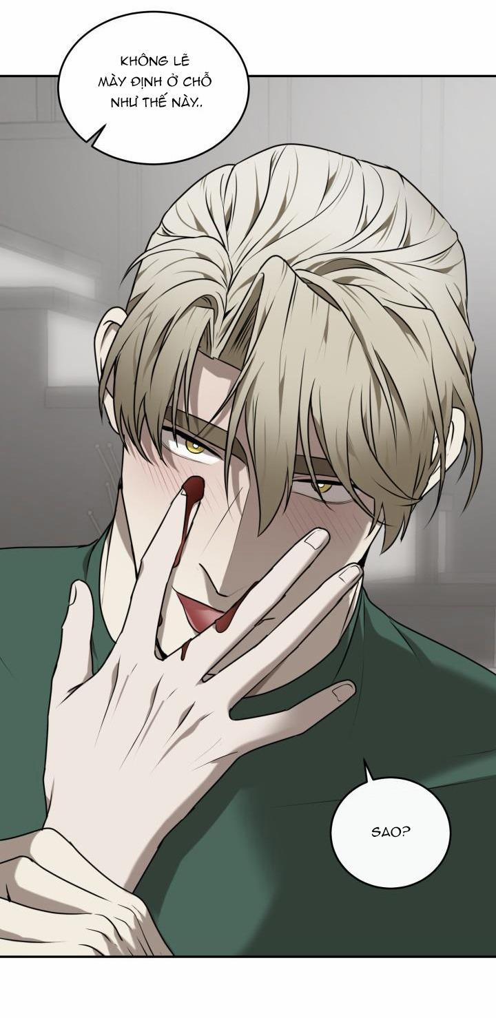 Dưỡng Thú Cưng 26.1 trang 21