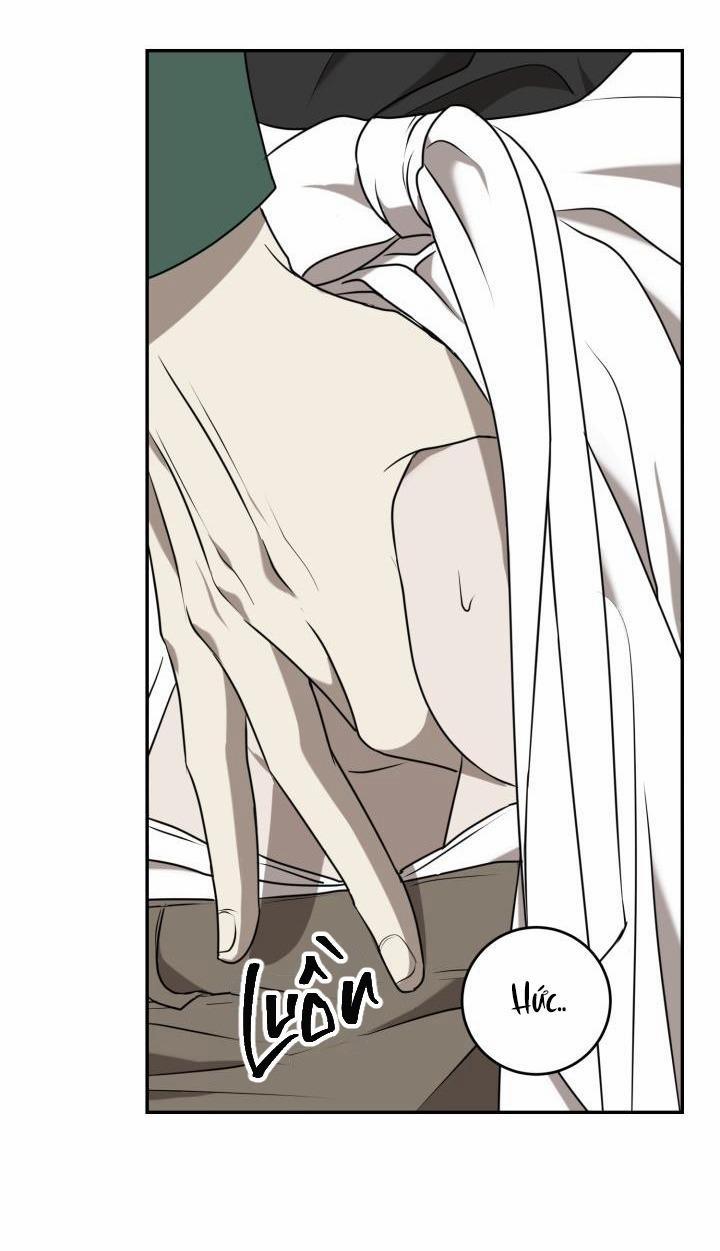 Dưỡng Thú Cưng 26.1 trang 26