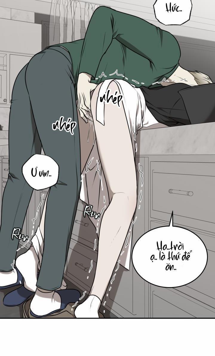 Dưỡng Thú Cưng 26.1 trang 28