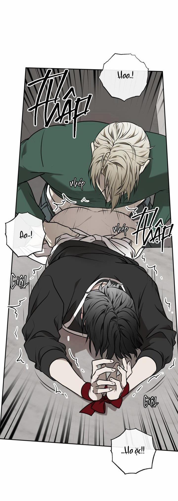 Dưỡng Thú Cưng 26.1 trang 38