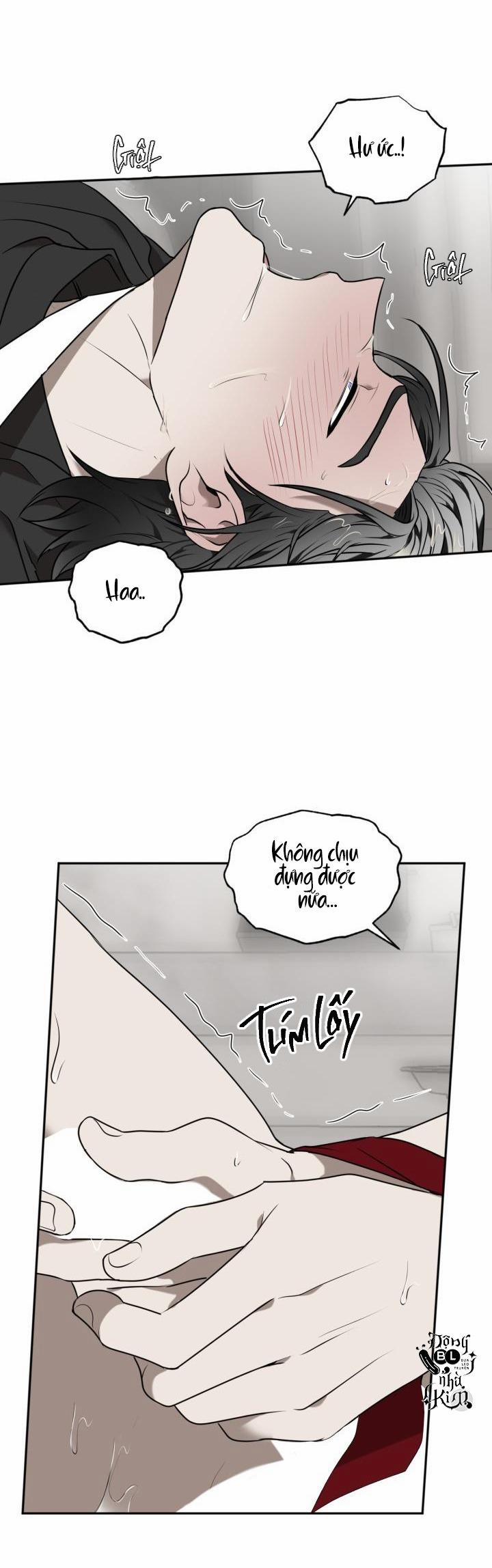 Dưỡng Thú Cưng 26.1 trang 44