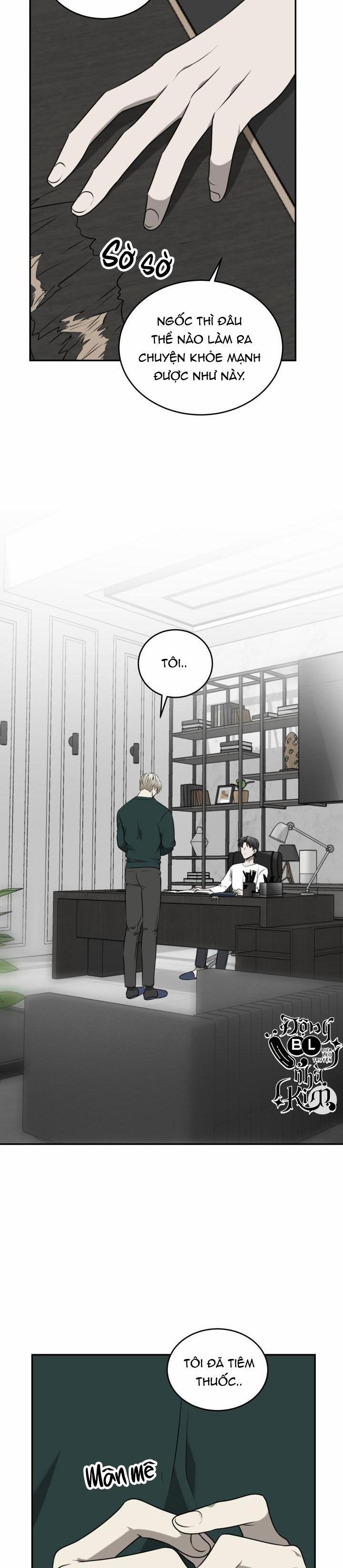 Dưỡng Thú Cưng 26 trang 21