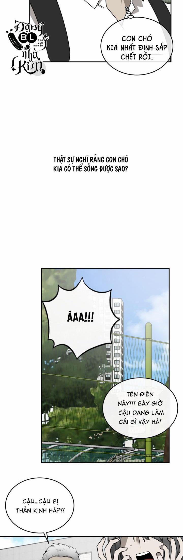 Dưỡng Thú Cưng 27 trang 33