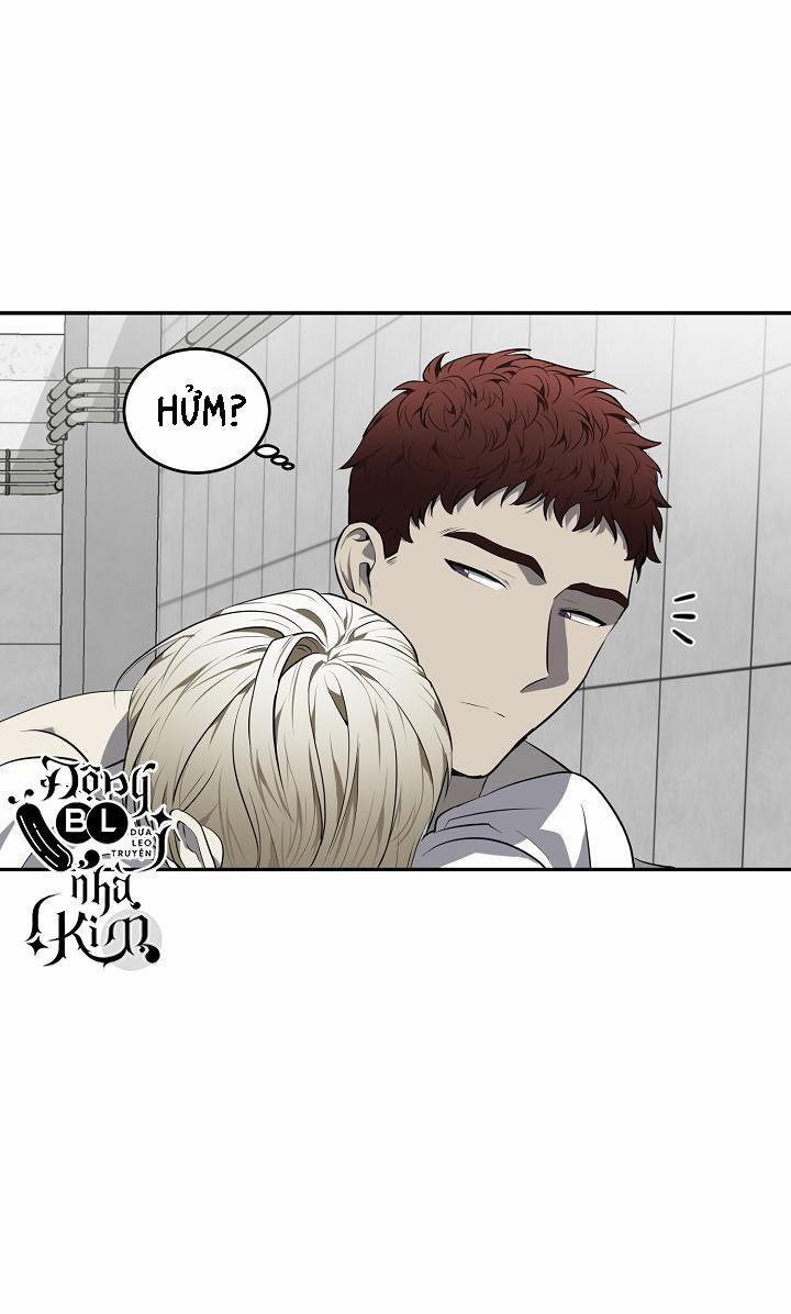 Dưỡng Thú Cưng 28 trang 42