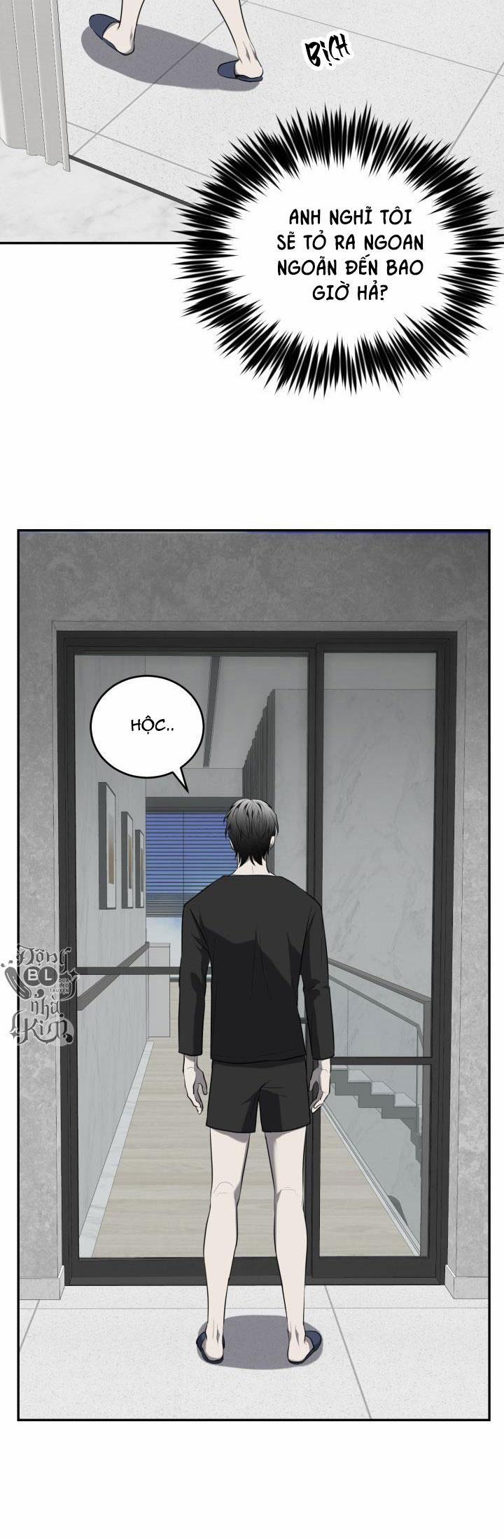 Dưỡng Thú Cưng 29 trang 21