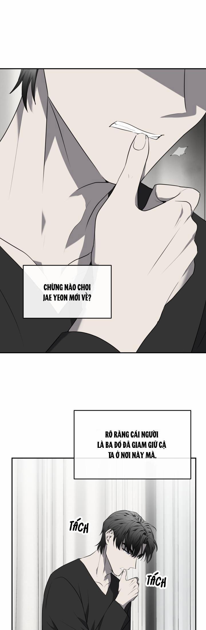 Dưỡng Thú Cưng 29 trang 25