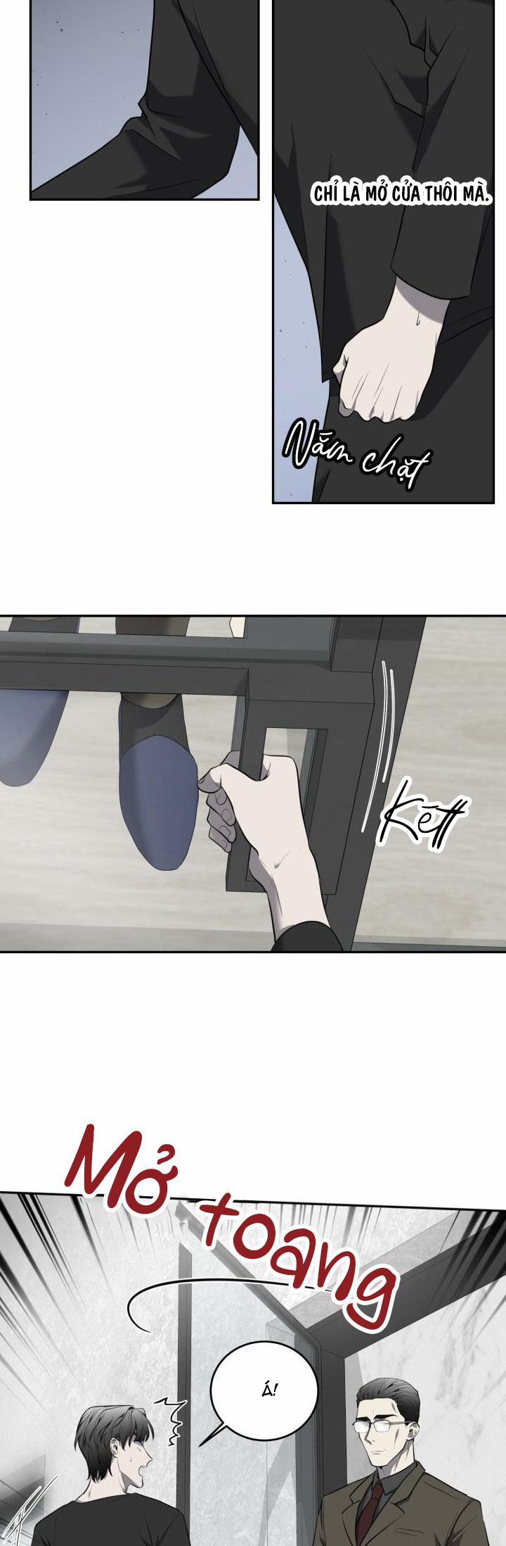 Dưỡng Thú Cưng 29 trang 31