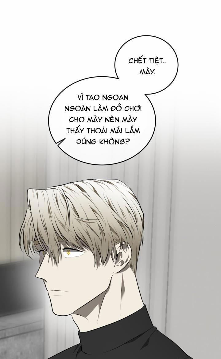 Dưỡng Thú Cưng 31 trang 40