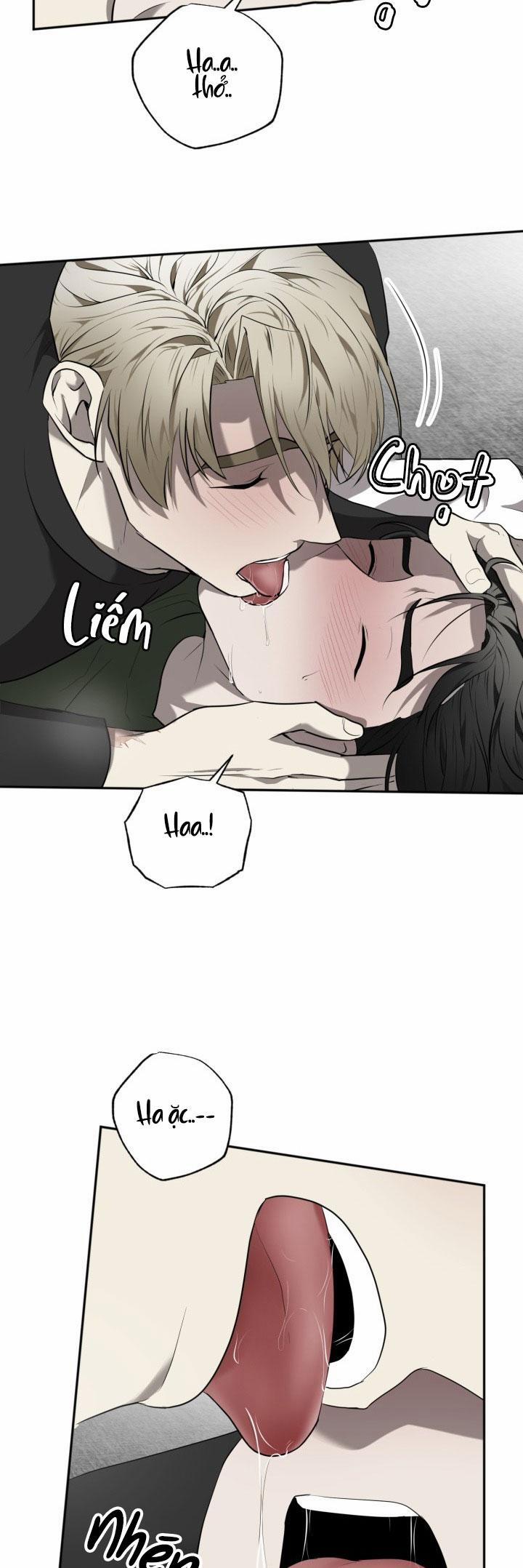 Dưỡng Thú Cưng 32 trang 24