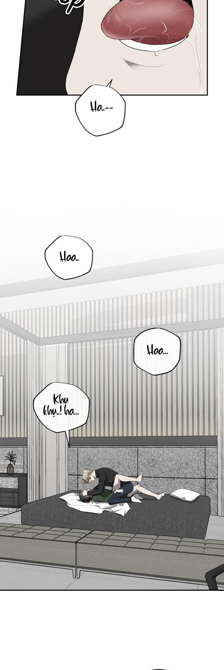 Dưỡng Thú Cưng 32 trang 25