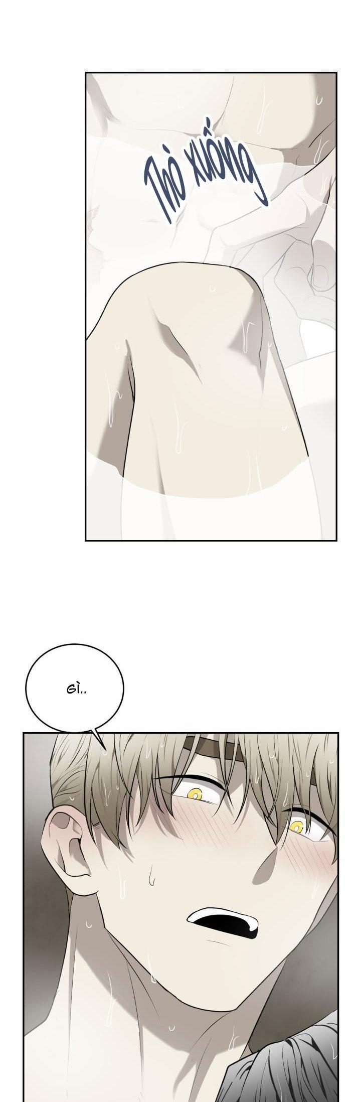 Dưỡng Thú Cưng 33 trang 21