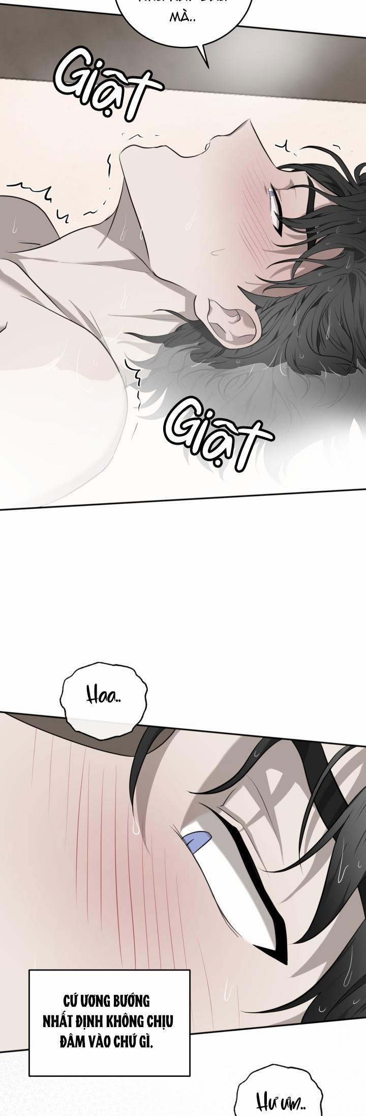 Dưỡng Thú Cưng 33 trang 29