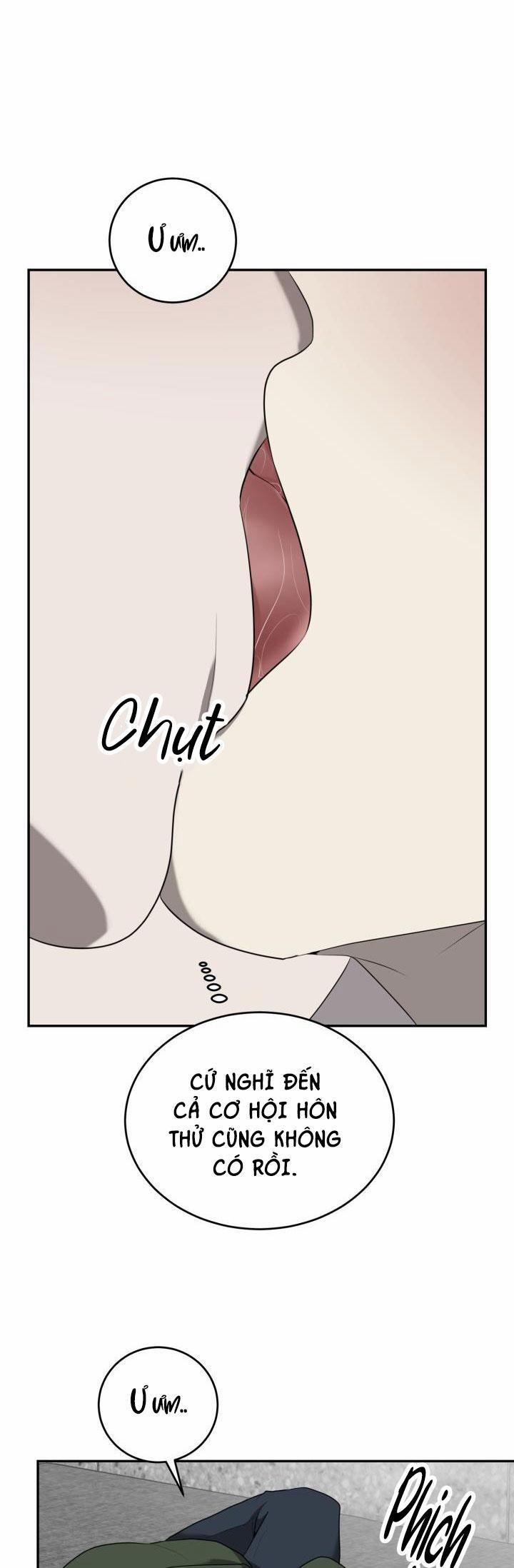 Dưỡng Thú Cưng 33 trang 6