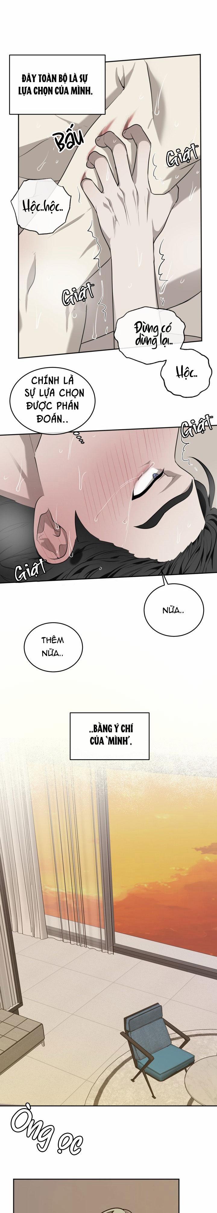 Dưỡng Thú Cưng 34 trang 10