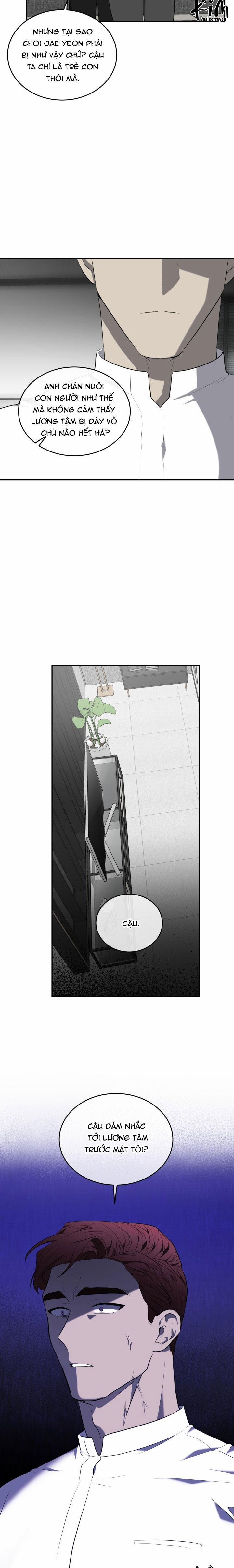 Dưỡng Thú Cưng 35 trang 16