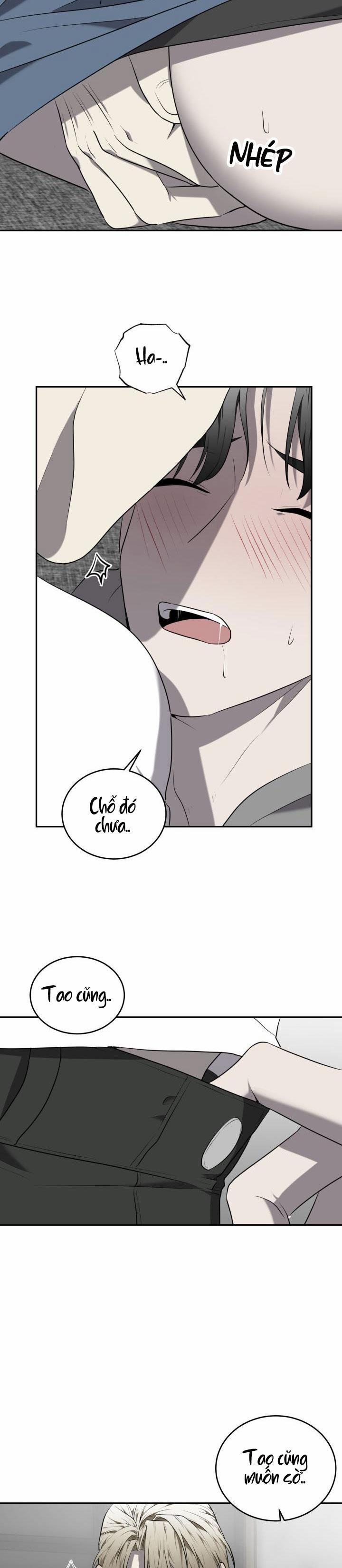 Dưỡng Thú Cưng 38 trang 11